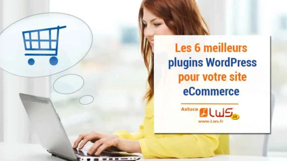 miniature-6-meilleurs-plugins-wordpress-ecommerce-2017