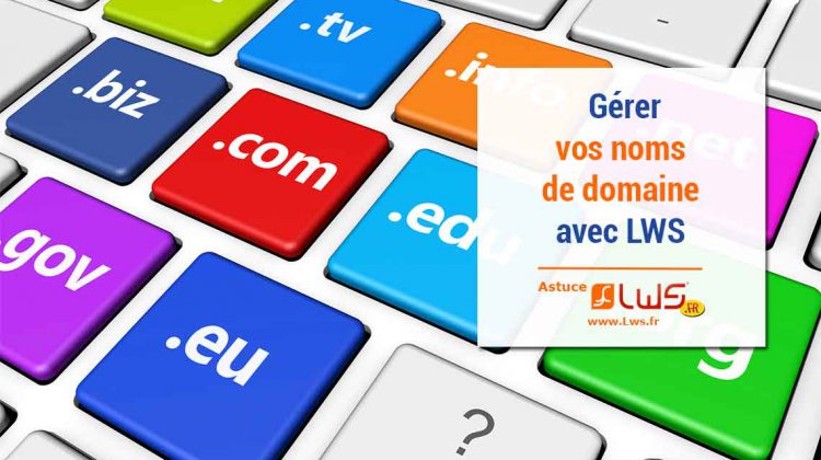 gestion-nom-de-domaine-lws