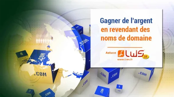 miniature-gagner-de-largent-en-revendant-ses-noms-de-domaine-est-ce-possible