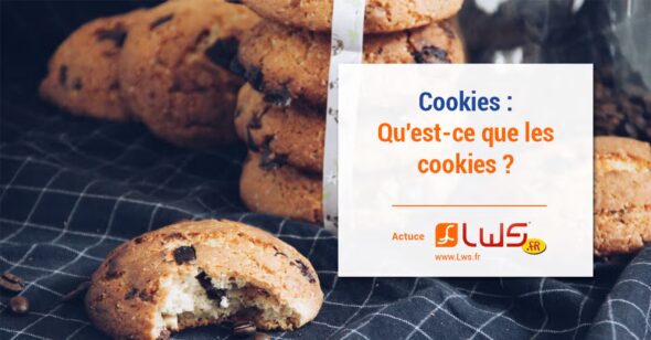 miniature-quest-ce-que-les-cookies