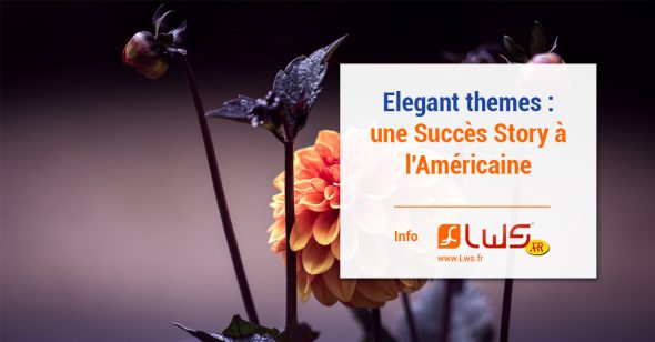miniature-la-success-story-americaine-delegant-theme