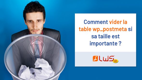 miniature-comment-vider-la-table-wp_postmeta-sur-wordpress