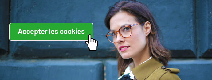 Cookies 2 Création de sites web