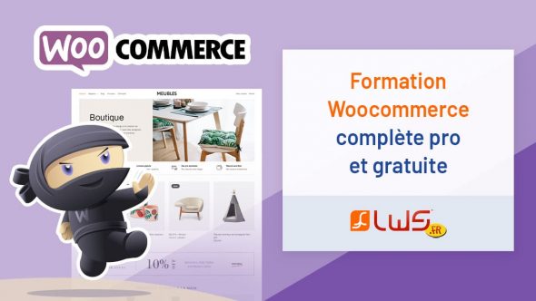 Formation ecommerce Woocommerce complète pro gratuite