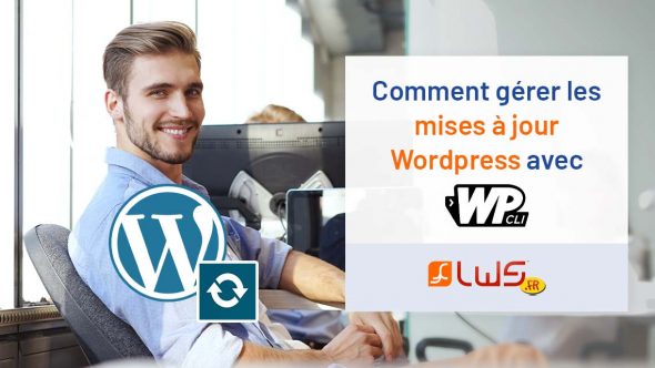 Comment gérer les mises à jour Wordpress avec WP-Cli ?