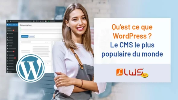 miniature-c-est-quoi-wordpress