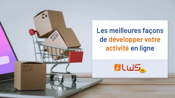 miniature-les-meilleures-facons-de-developper-une-activite-en-ligne