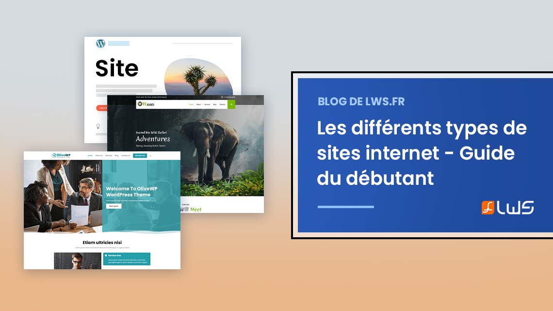 Les différents types de sites internet : chacun sa fonction - Guide du débutant