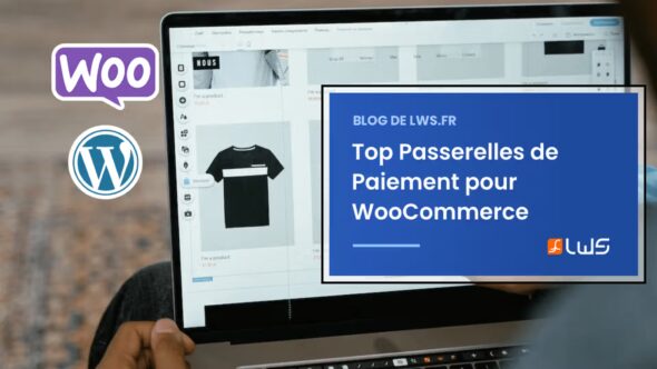 miniature-top-passerelles-de-paiement-pour-woocommerce