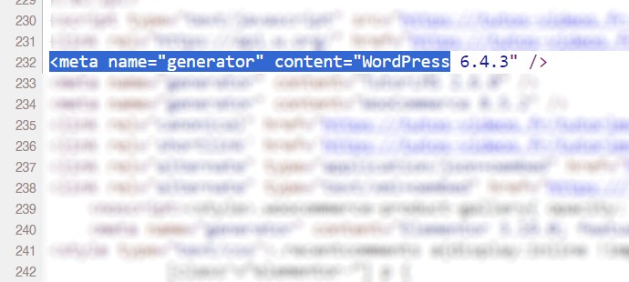 content wordpress code source
