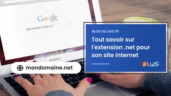 miniature-tout-savoir-sur-lextension-net