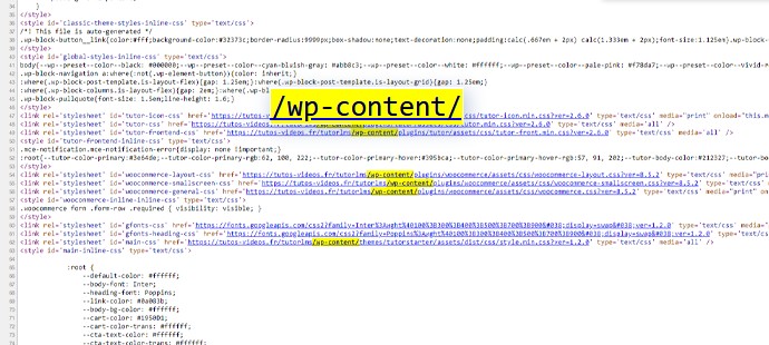 wp content wordpress code source