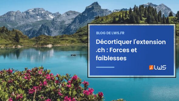 miniature-decortiquer-lextension-ch