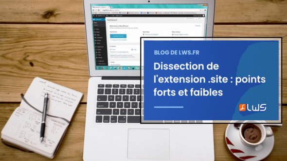 blog-miniature-dissection-de-lextension-site