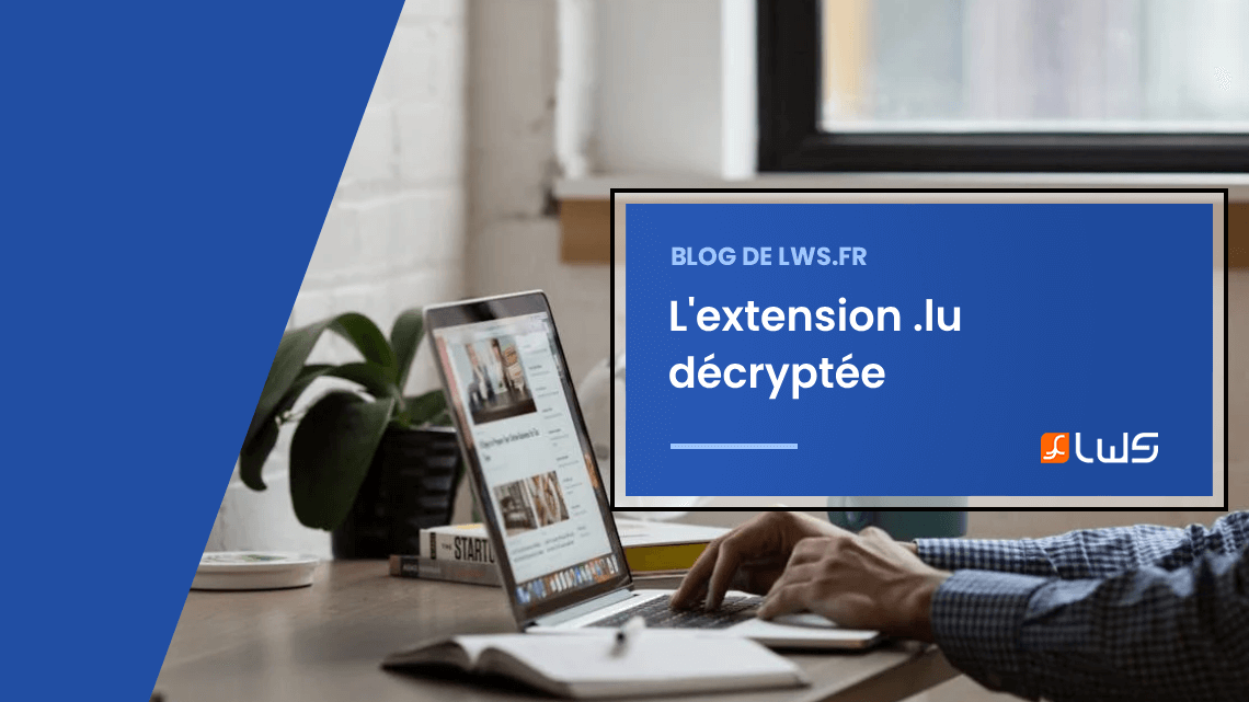 L'extension lu décryptée : Guide pour comprendre son usage