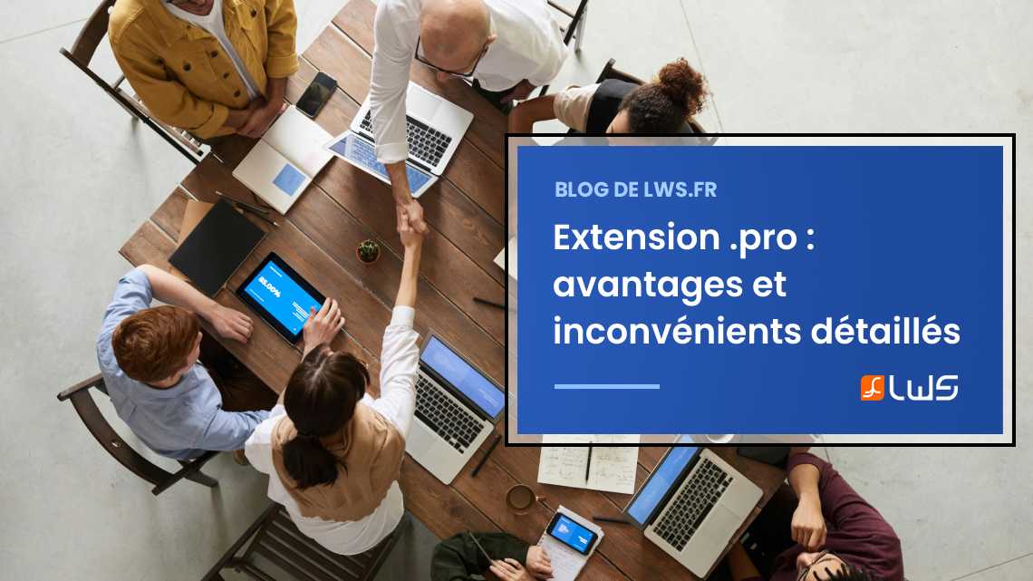 Avantages et obstacles : L'examen de l'extension .pro