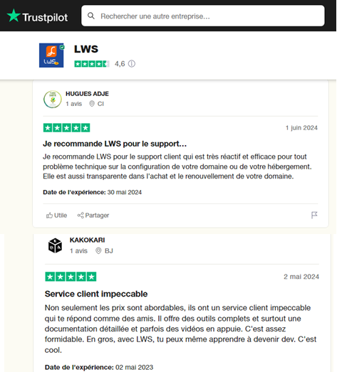Meilleur hébergeur web : avis clients au sujet du support LWS