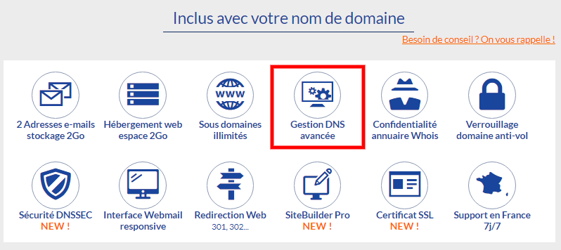 Gestion Domain Name System avancée chez LWS