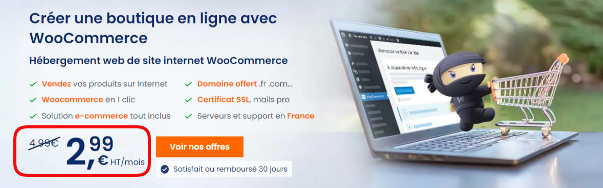 Prix d'un site e commerce chez LWS