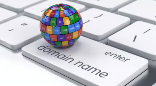 Enregistrer plusieurs variantes de votre nom de domaine Enregistrer plusieurs variantes de votre nom de domaine Nom de domaine