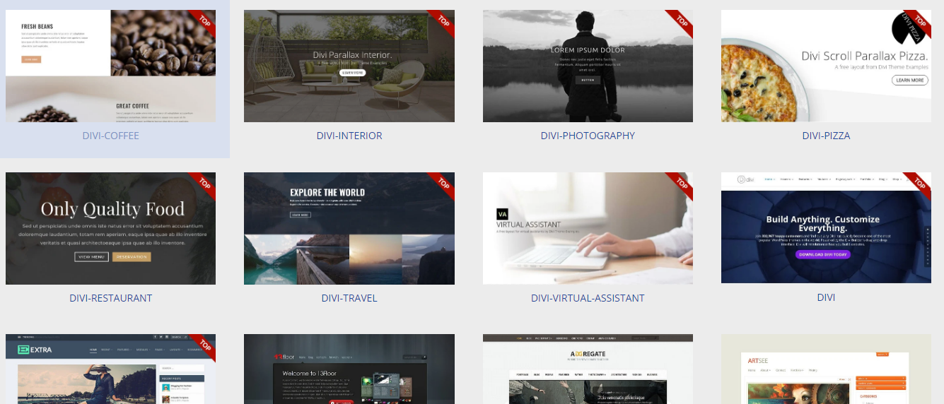 Thème WordPress gratuit : Divi