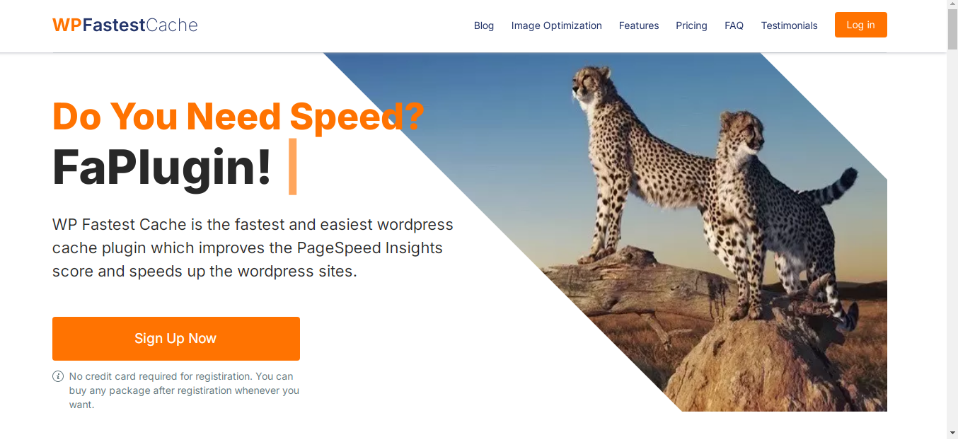WP Fastest Cache : une excellente alternative pour un site performant