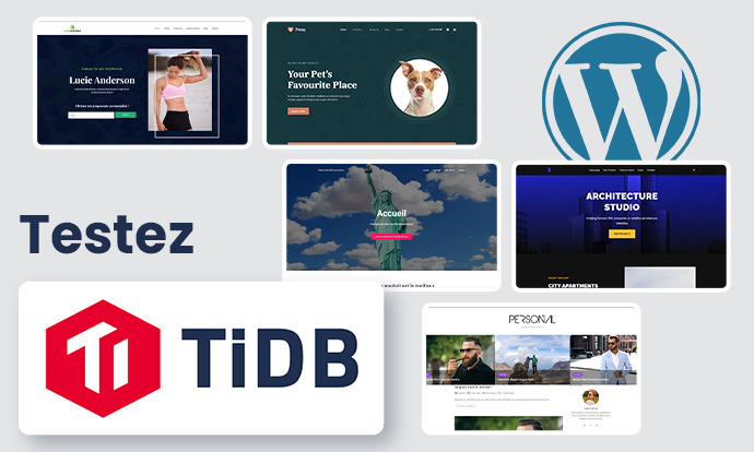 test tidb wordpress lws