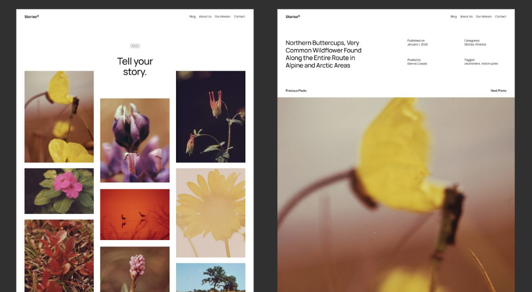 Le Blog Photo de Twenty Twenty Five