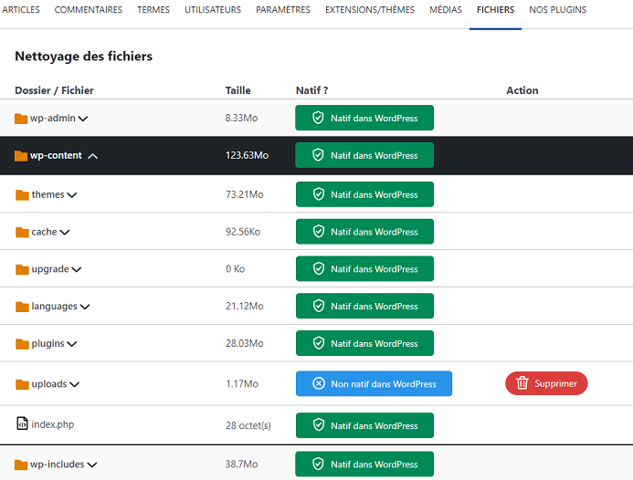 Supprimez les fichiers non natifs et optimisez vos paramètres système avec LWS Cleaner