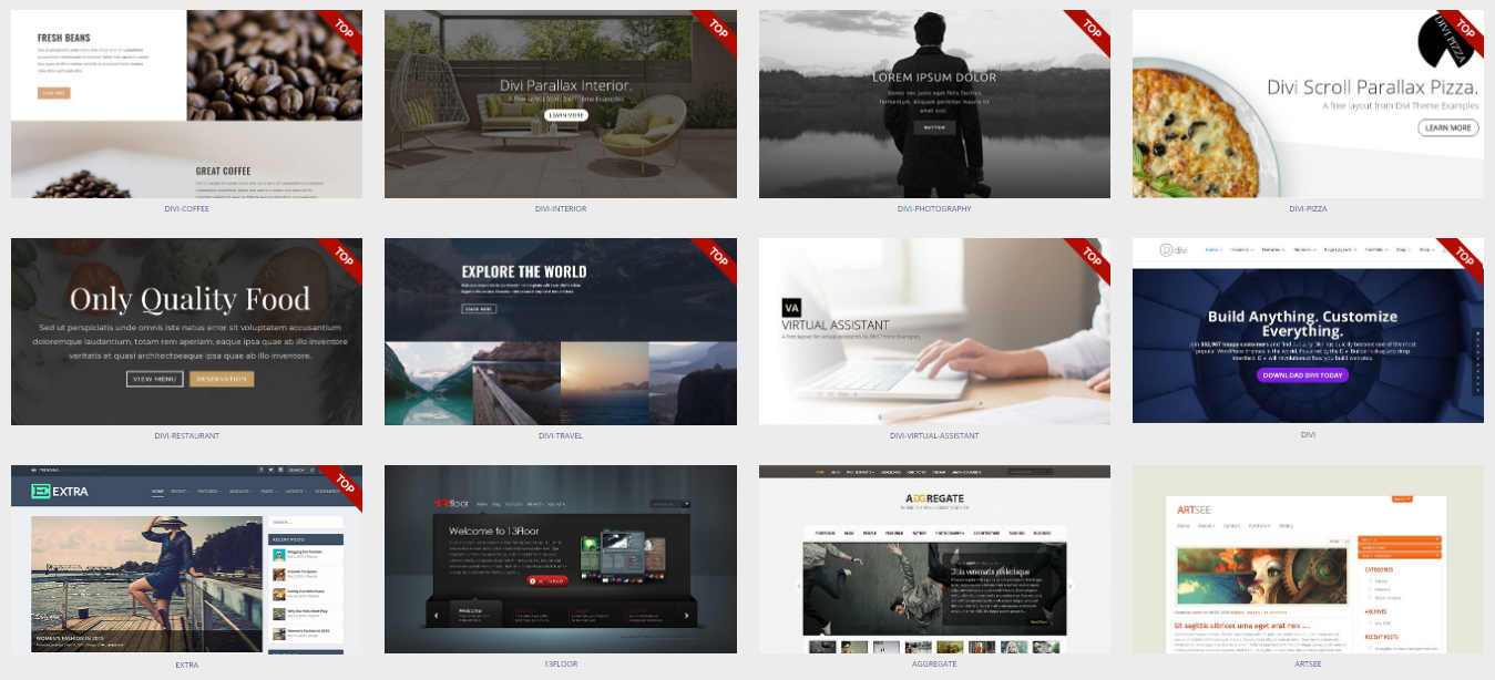 DIVI Elegant Themes