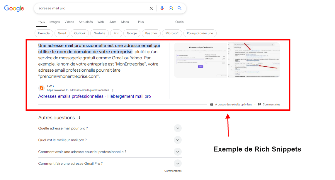 Exemple de Rich Snippets Tendances SEO 2025 : les Rich Snippets