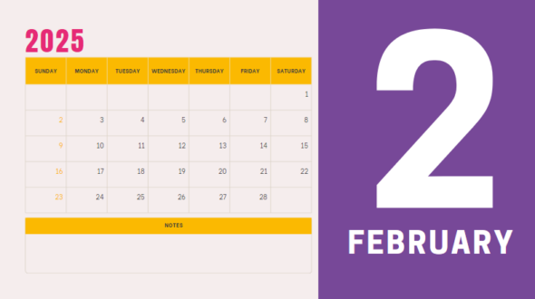 Février 2025 Fevrier 2025 Marketing