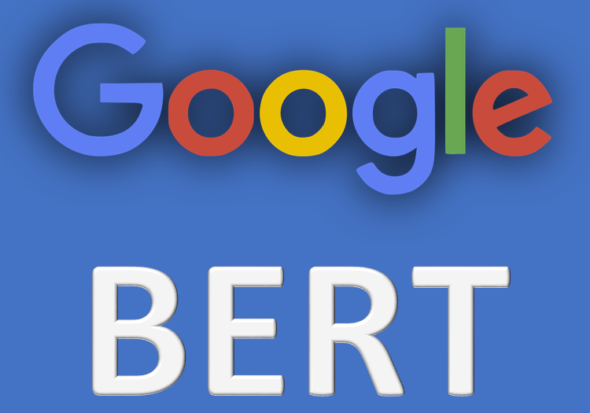 Google Bert