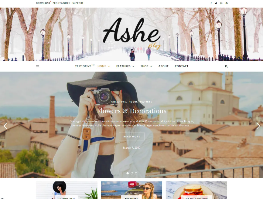 Thème WordPress gratuit : Ashe
