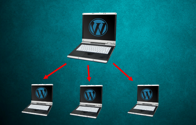 WordPress multisite : une fonctionnalité pour gérer un réseau de sites WordPress