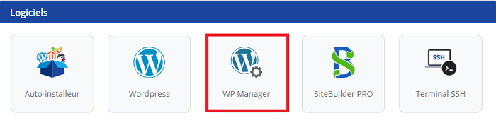 LWS cleaner WordPress