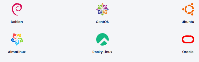 Les meilleurs distributions Linux sont proposées chez LWS Les meilleurs distributions Linux sont proposées chez LWS