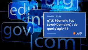gTLD (Generic Top Level Domaine) de quoi s’agit il
