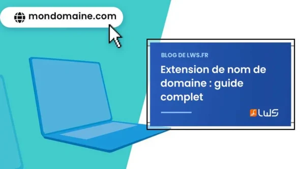miniature-tout-sur-lextension-de-nom-de-domaine-role-types-et-conseils-de-choix