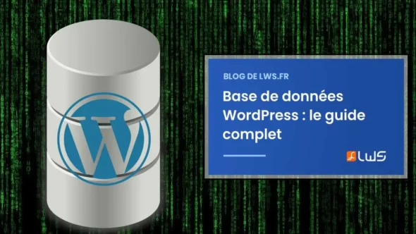 miniature-tout-savoir-sur-la-base-de-donnees-wordpress