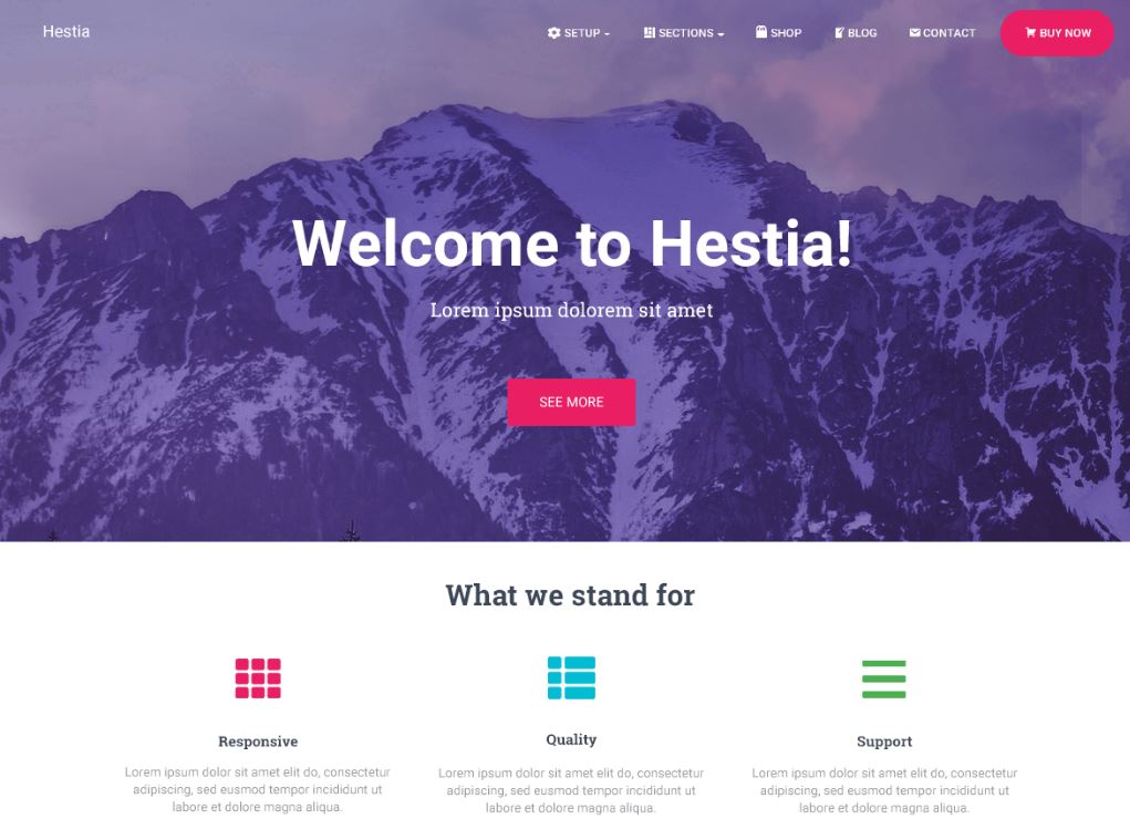 Le thème WordPress Hestia