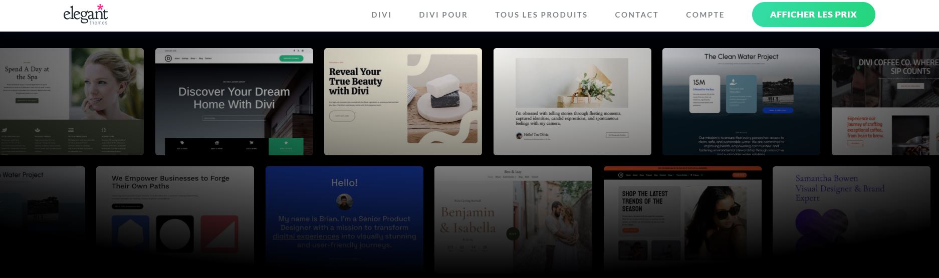Les thèmes premium de Elegant Themes