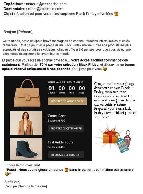 Newsletter Black Friday - Exemple d'email