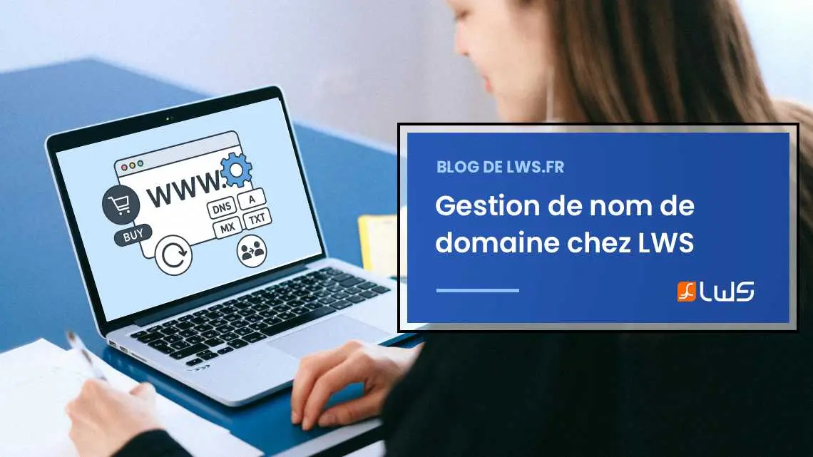 blog-miniature-gestion-de-nom-de-domaine-lws