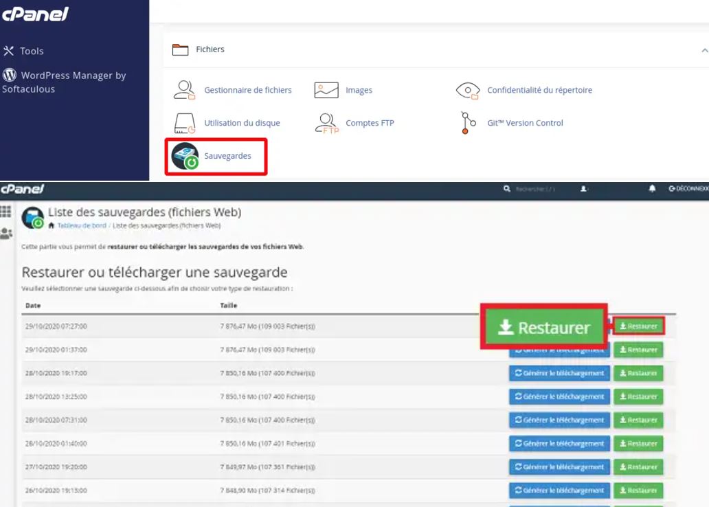 Bénéficiez de sauvegardes et restaurations en quelques clics depuis le panneau de contrôle cPanel, en optant pour notre hébergement Python