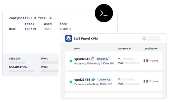 Gérez facilement votre VPS KVM LWS via Root ou via le terminal web Gérez facilement votre VPS KVM LWS via Root ou via le terminal web