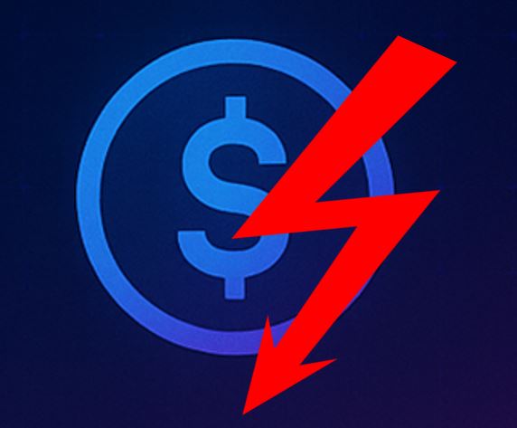 Inconvénient de la stratégie de niche - Une rentabilité parfois limitée voire impossible