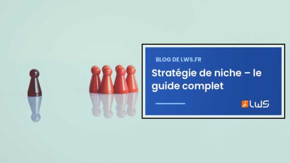 miniature-guide-strategie-de-niche